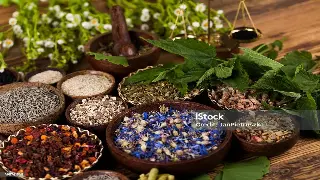 养生大师深度访谈：揭秘南昌桑拿按摩行业的健康密码 海报