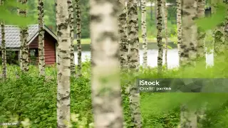 南昌桑拿按摩人群养生指南：不同人群的专属放松与健康建议 海报