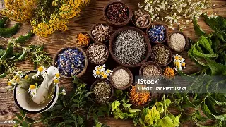 按摩养生新风向：对话行业领军人物，揭秘健康长寿的秘诀