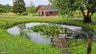 深度对话！养生大师揭秘南昌按摩背后的治愈力量 海报