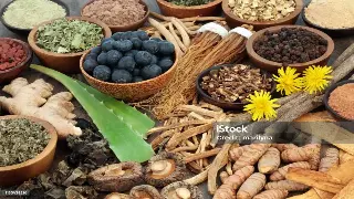 蒸桑拿不只是“蒸”！解锁全身焕活的秘密，南昌老司机都在悄悄跟进！ poster