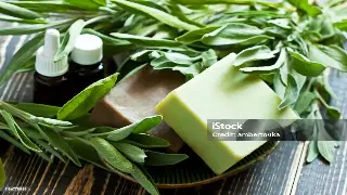 触摸千年的脉搏：南昌古法按摩的传承与创新 海报